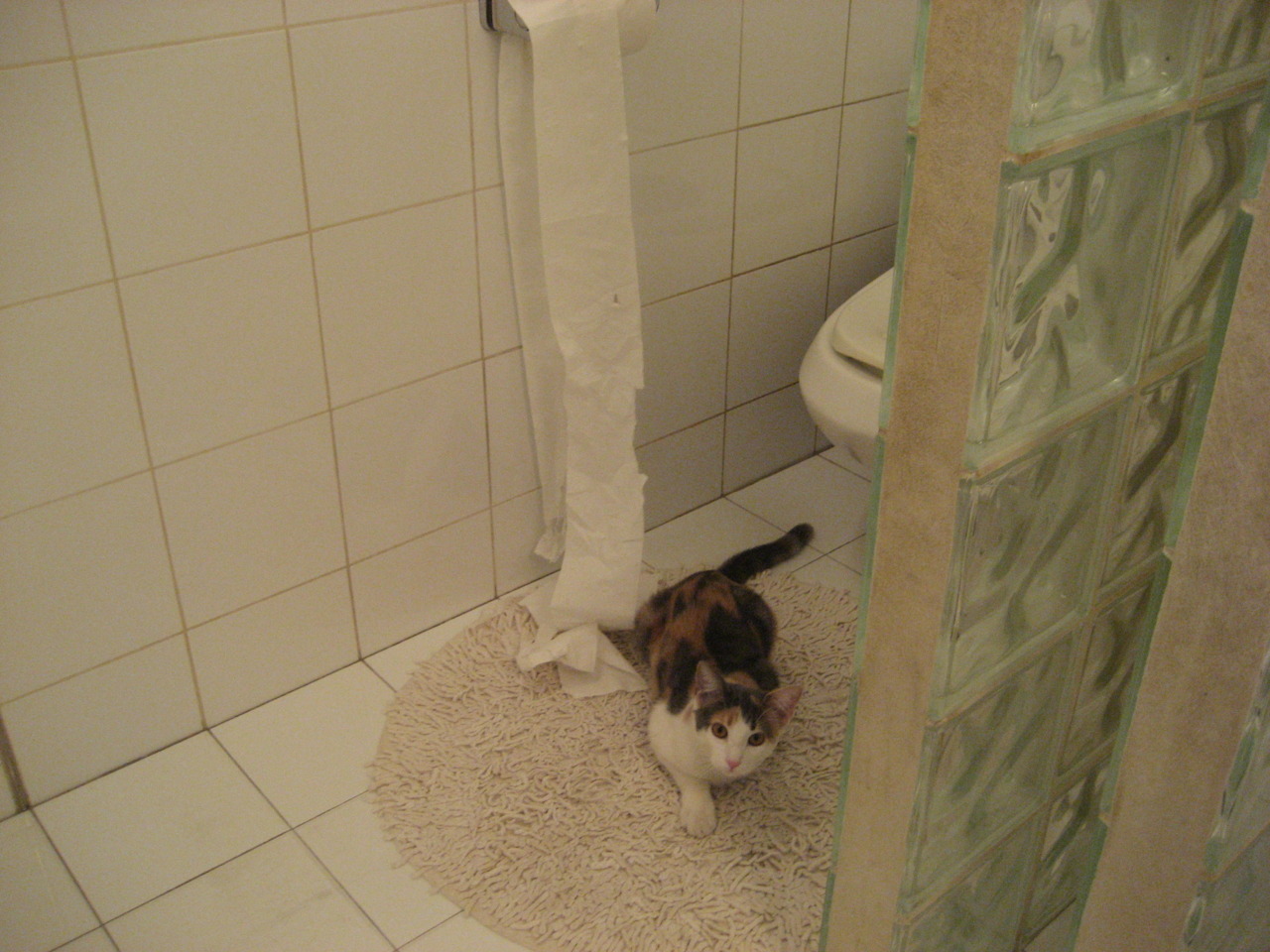 德甲创新战术方案，开启多元足球时代，德甲技术特点