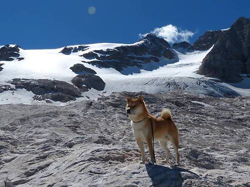 数据狂魔：联盟中的统计达人和他们的分析报告，数据 统计