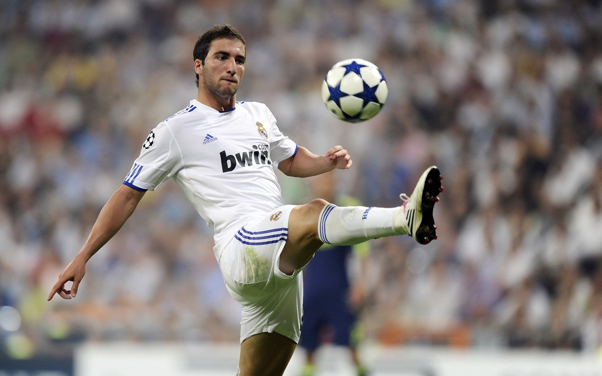 开云体育平台-拉尼·帕利斯特展现未来冠军潜质，帕拉尼恩斯足球俱乐部